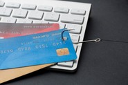 credit card frauds
