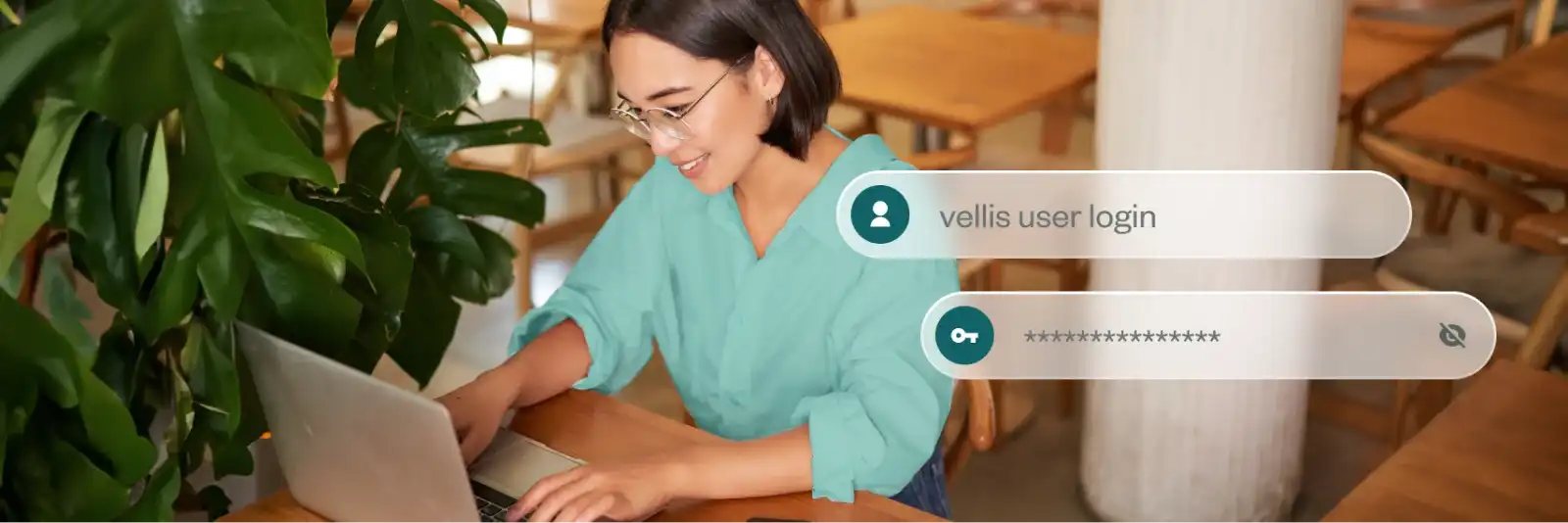 Vellis user register